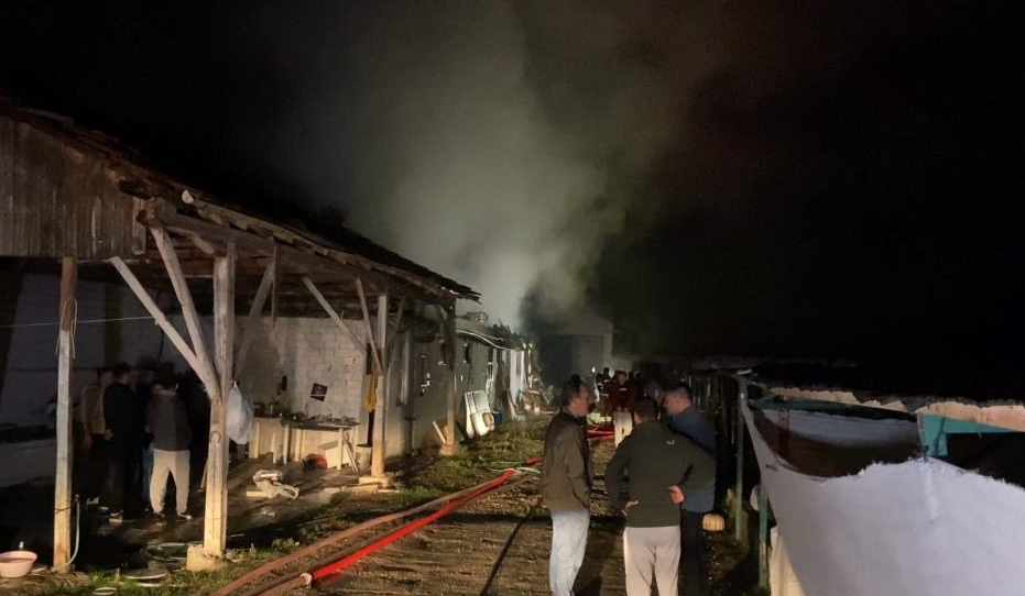 Bursa’da büyükbaş hayvan çiftliği yandı