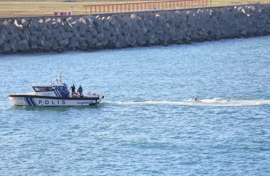 Rize açıklarına acil iniş yapan uçak limana çekildi